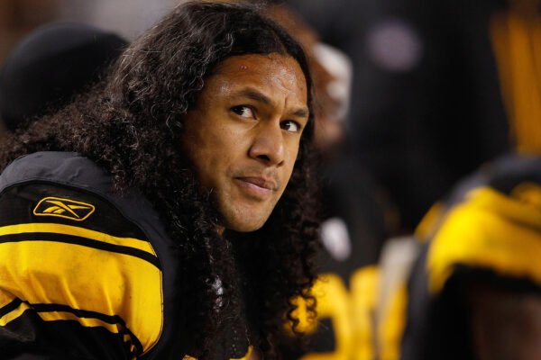 brandon polamalu