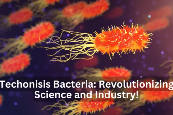 Techonisis bacteria